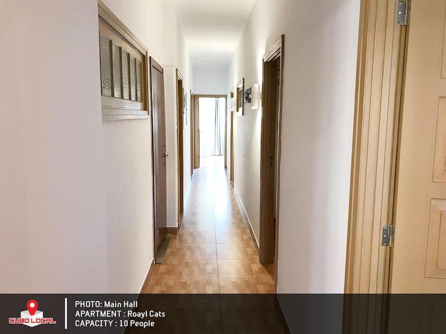 Royal Cats Apartment Porto Luaran gambar