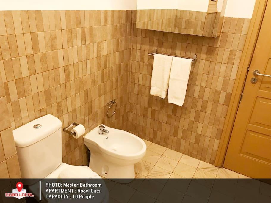 Royal Cats Apartment Porto Luaran gambar