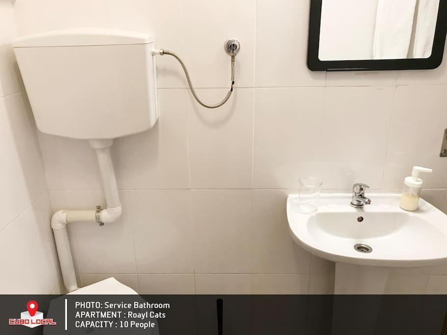 Royal Cats Apartment Porto Luaran gambar