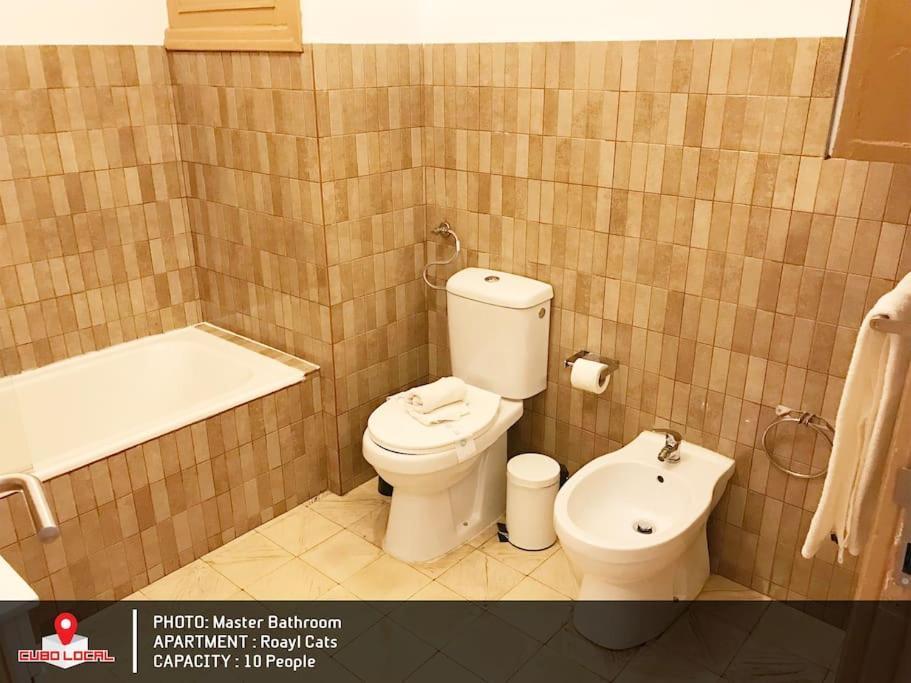 Royal Cats Apartment Porto Luaran gambar
